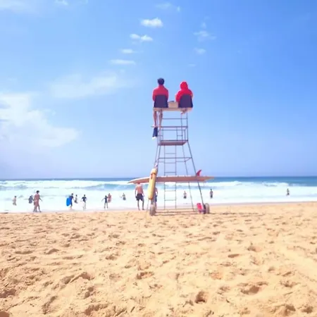 Superbe à 8mn En Voiture De La Appartement Linxe