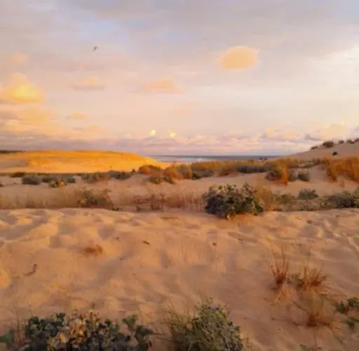 Superbe A 8mn En Voiture De La *